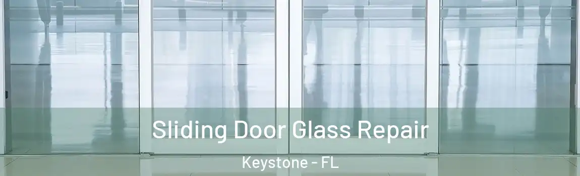  Sliding Door Glass Repair Keystone - FL