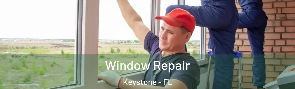  Window Repair Keystone - FL