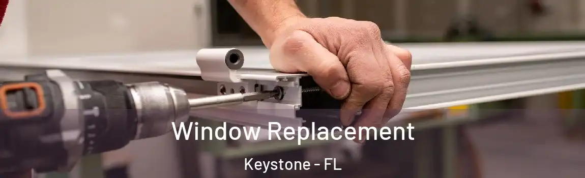  Window Replacement Keystone - FL
