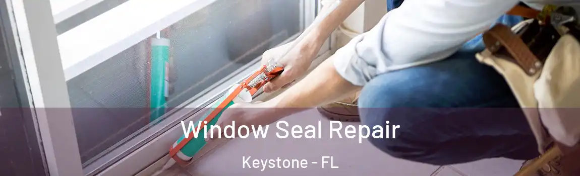 Window Seal Repair Keystone - FL